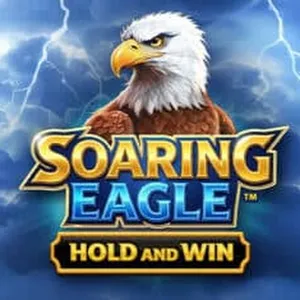 soaring eagle hold and win slot icon