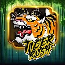 tiger rush slot icon